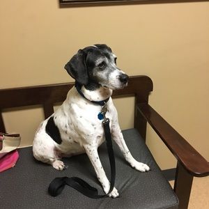 Meet your Posher, Beth